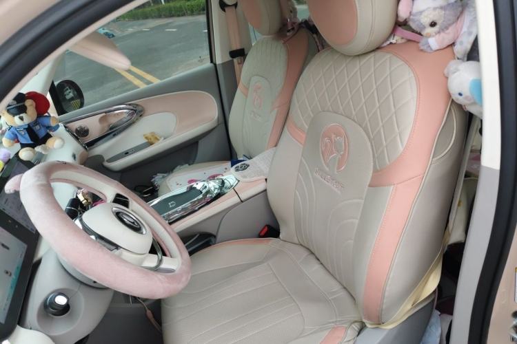 Used ORA Ballet Cat 2023 401 km Luxury Version Interior 6