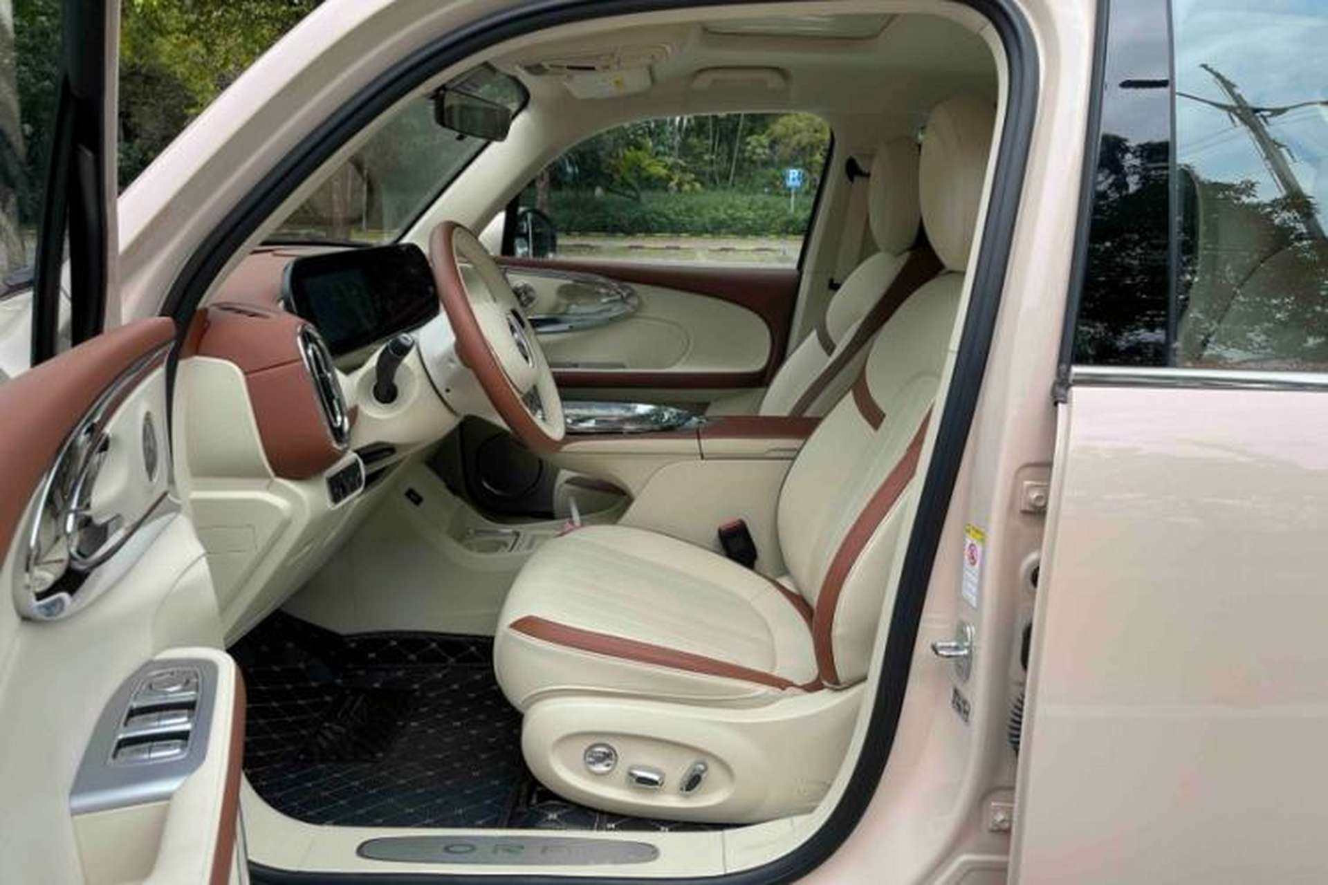 Used ORA Ballet Cat 2023 401 km Luxury Version Left Front Seat