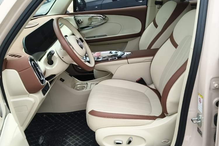 Used ORA Ballet Cat 2023 401 km Luxury Version Left Front Seat
