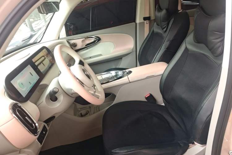 Used ORA Ballet Cat 2023 401 km Luxury Version Left Front Seat