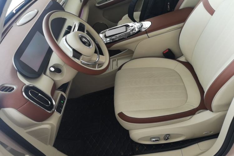 Used ORA Ballet Cat 2023 401 km Luxury Version Left Front Seat