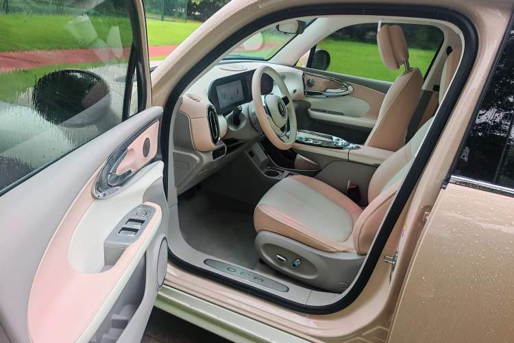 Used ORA Ballet Cat 2023 401 km Luxury Version Left Front Seat