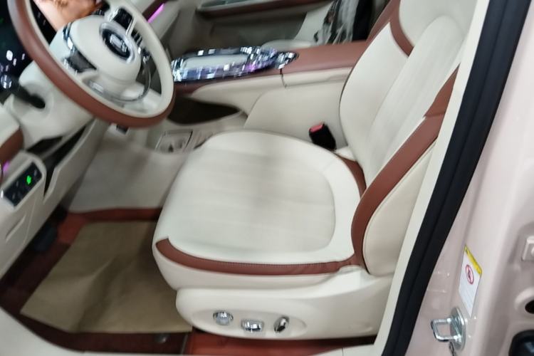 Used ORA Ballet Cat 2023 401 km Luxury Version Left Front Seat