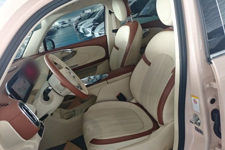 Used ORA Ballet Cat 2023 401 km Luxury Version Left Front Seat