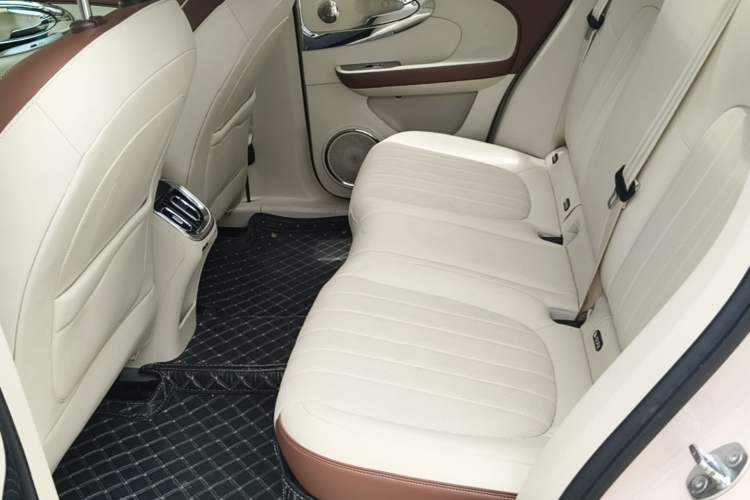 Used ORA Ballet Cat 2023 401 km Luxury Version Left Rear Seat