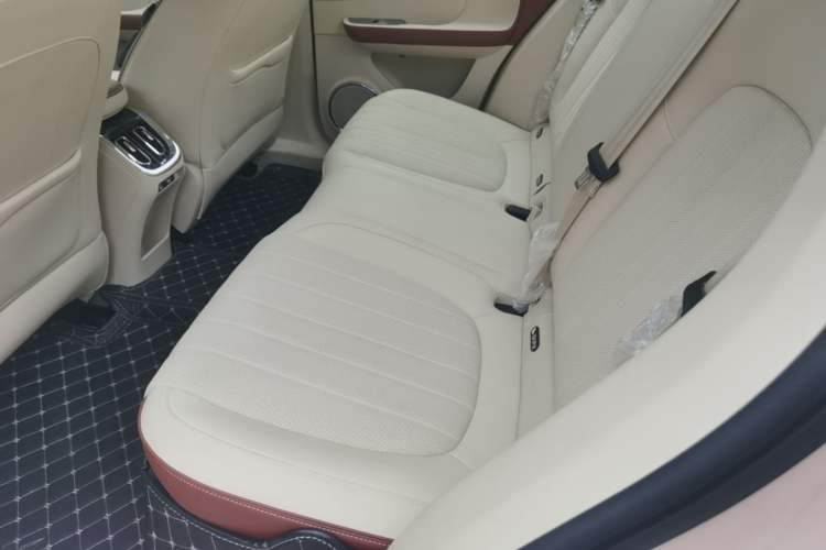 Used ORA Ballet Cat 2023 401 km Luxury Version Left Rear Seat
