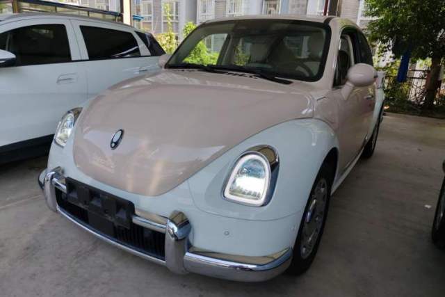 Used ORA Ballet Cat 2023 401 km Luxury Version
