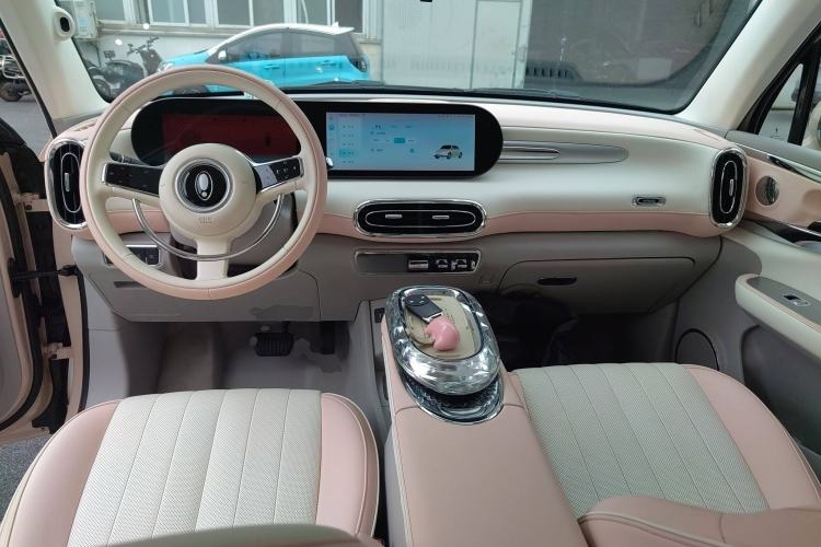 Used ORA Ballet Cat 2023 401 km Luxury Version Center Console