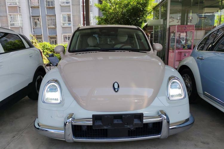 Used ORA Ballet Cat 2023 401 km Luxury Version Front
