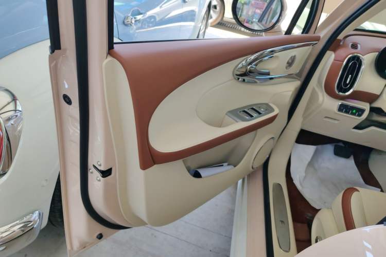 Used ORA Ballet Cat 2023 401 km Luxury Version Left Front Door Interior