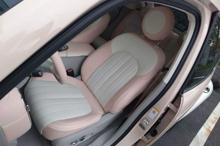 Used ORA Ballet Cat 2023 401 km Luxury Version Left Front Seat