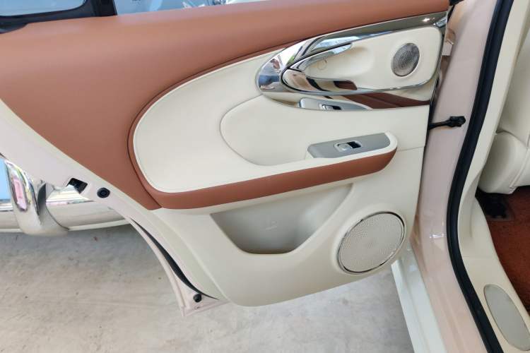 Used ORA Ballet Cat 2023 401 km Luxury Version Left Rear Door Interior