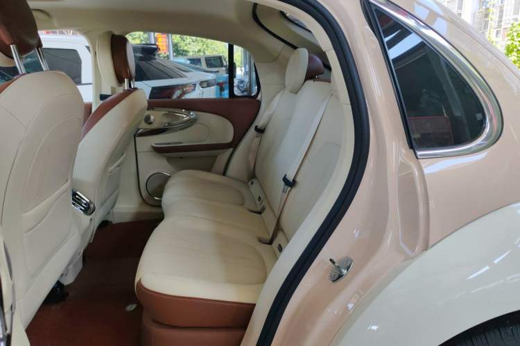Used ORA Ballet Cat 2023 401 km Luxury Version Left Rear Seat