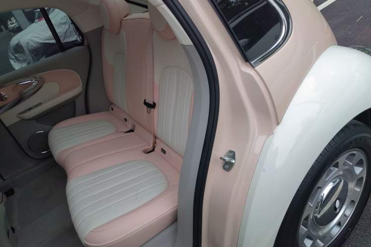 Used ORA Ballet Cat 2023 401 km Luxury Version Left Rear Seat