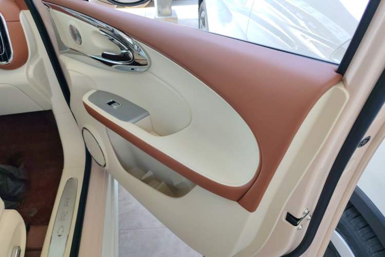 Used ORA Ballet Cat 2023 401 km Luxury Version Right Front Door Interior