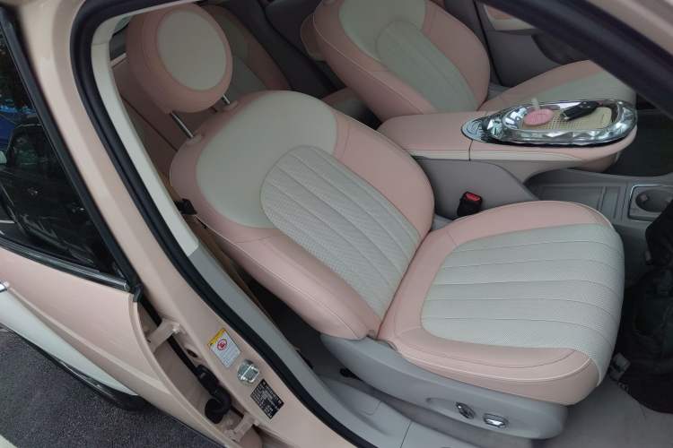 Used ORA Ballet Cat 2023 401 km Luxury Version Right Front Seat