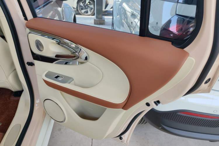 Used ORA Ballet Cat 2023 401 km Luxury Version Right Rear Door Interior