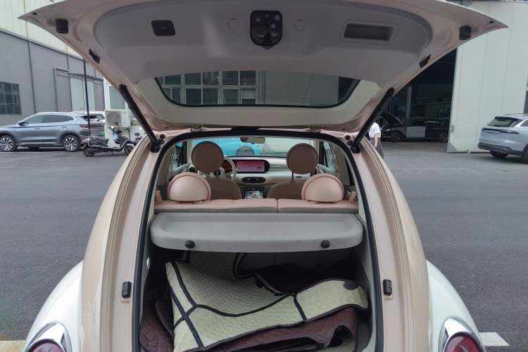 Used ORA Ballet Cat 2023 401 km Luxury Version Trunk