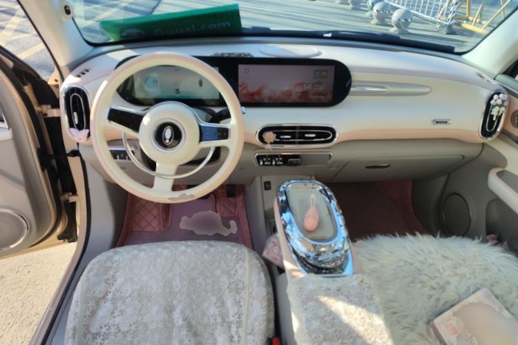 Used ORA Ballet Cat 2023 401 km Luxury Version Center Console