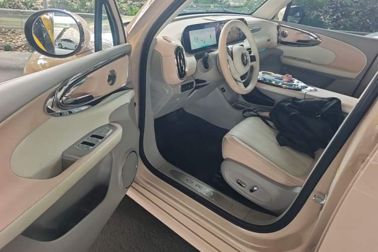 Used ORA Ballet Cat 2023 500 km Luxury Version Driver Seat