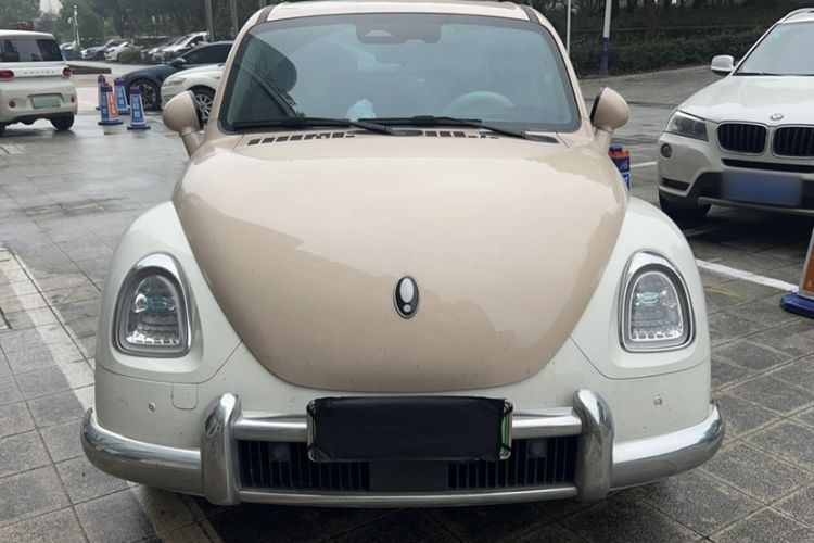 Used ORA Ballet Cat 2023 401 km Luxury Version Exterior 1