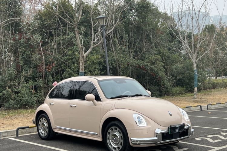 Used ORA Ballet Cat 2023 401 km Luxury Version Exterior 4