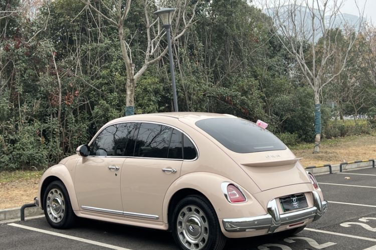 Used ORA Ballet Cat 2023 401 km Luxury Version Exterior 5