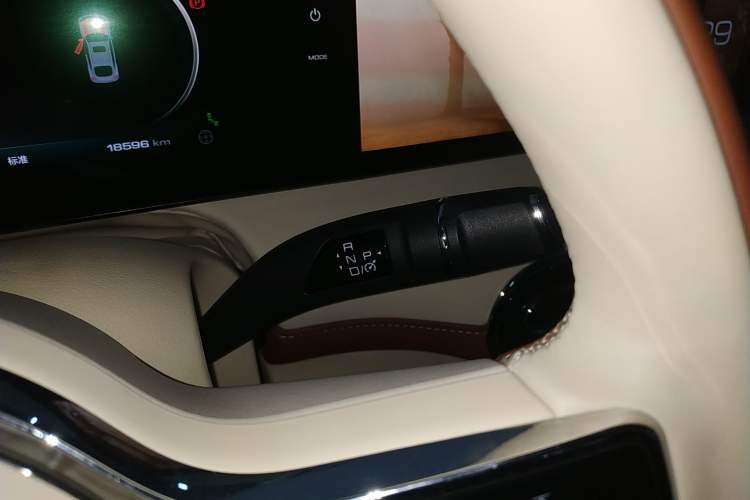Used ORA Ballet Cat 2023 401 km Luxury Version Gear Lever