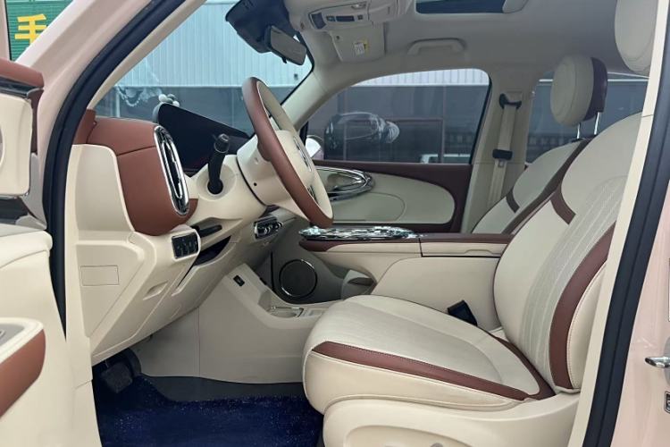 Used ORA Ballet Cat 2023 401 km Luxury Version Interior 2