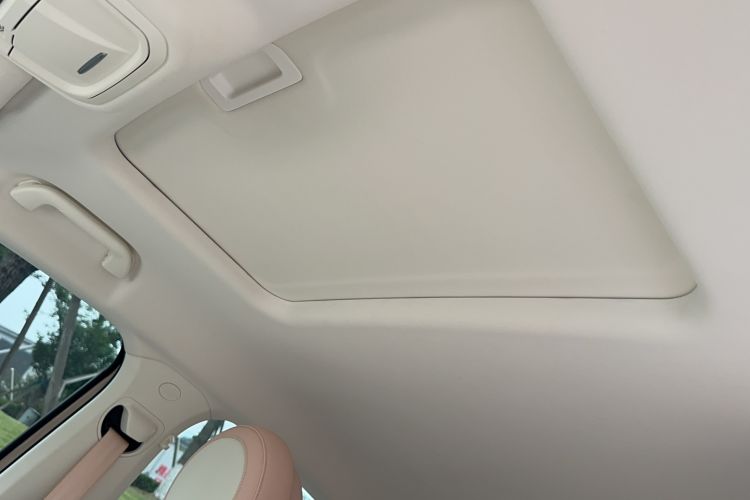 Used ORA Ballet Cat 2023 500 km Luxury Version Interior 2