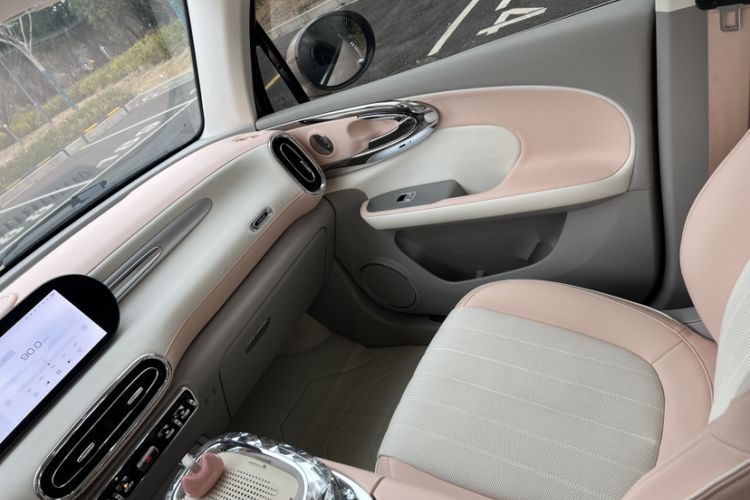 Used ORA Ballet Cat 2023 401 km Luxury Version Interior 2
