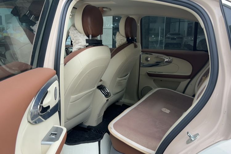 Used ORA Ballet Cat 2023 401 km Luxury Version Interior 3
