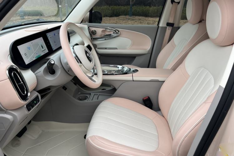 Used ORA Ballet Cat 2023 401 km Luxury Version Interior 3