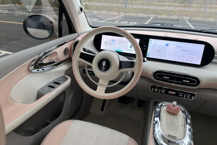 Used ORA Ballet Cat 2023 401 km Luxury Version Interior 5