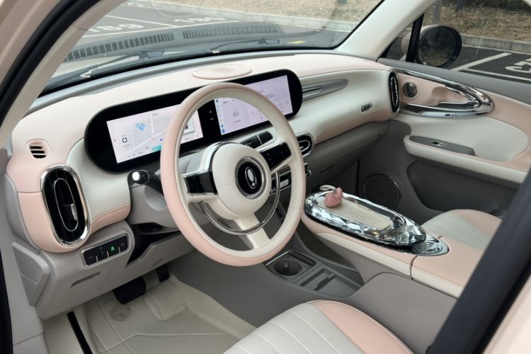 Used ORA Ballet Cat 2023 401 km Luxury Version Interior 6