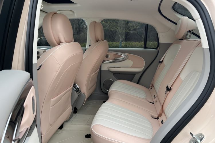 Used ORA Ballet Cat 2023 401 km Luxury Version Interior 7