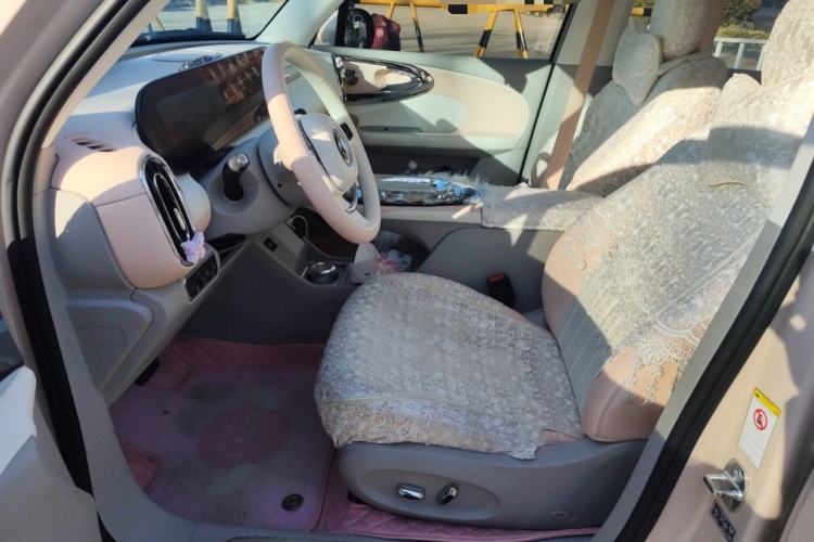 Used ORA Ballet Cat 2023 401 km Luxury Version Left Front Seat