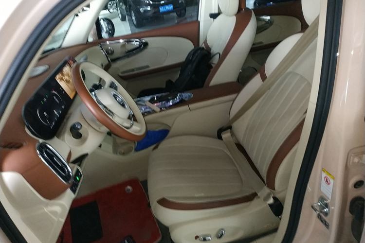 Used ORA Ballet Cat 2023 401 km Luxury Version Left Front Seat