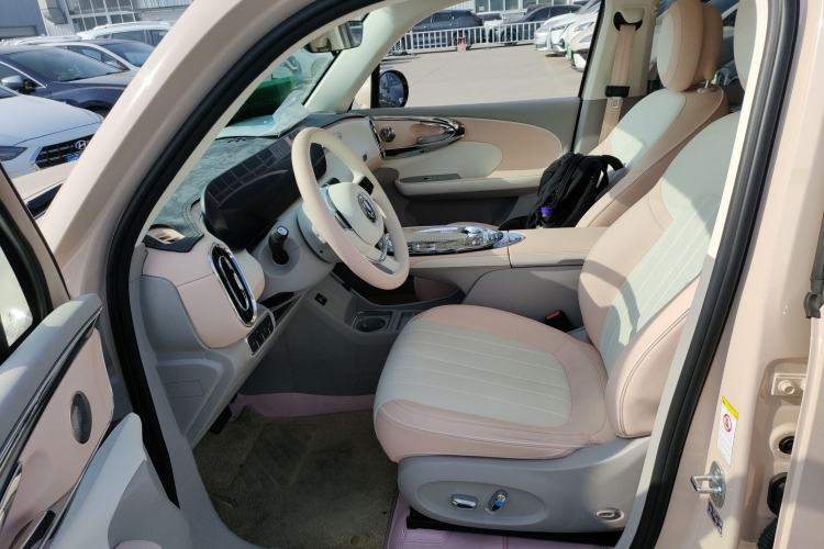 Used ORA Ballet Cat 2023 401 km Luxury Version Left Front Seat