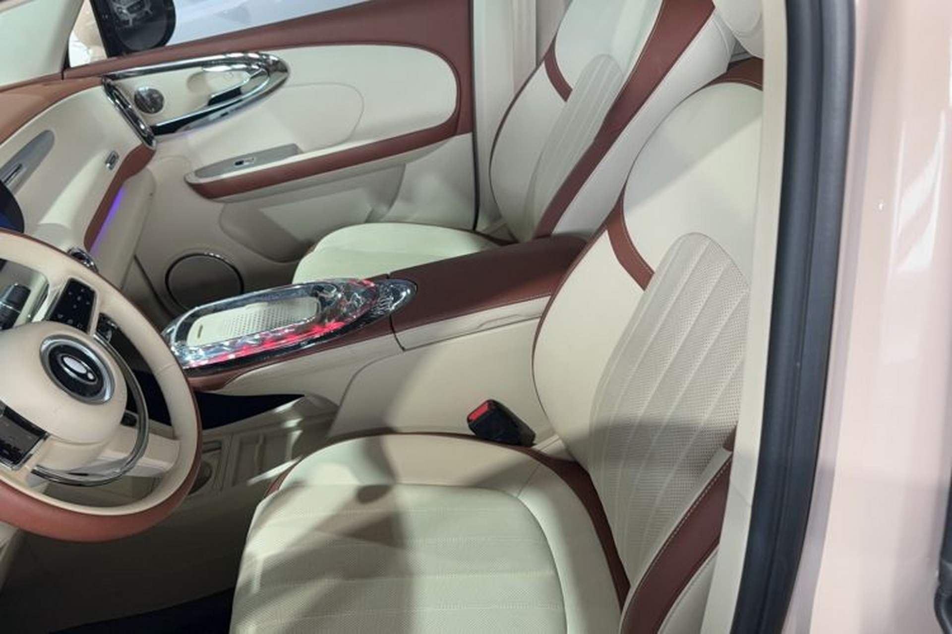 Used ORA Ballet Cat 2023 401 km Luxury Version Left Front Seat
