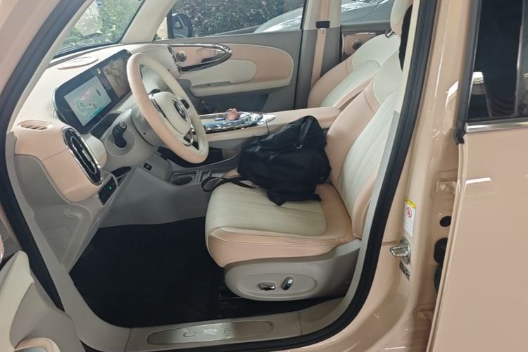 Used ORA Ballet Cat 2023 500 km Luxury Version Left Front Seat