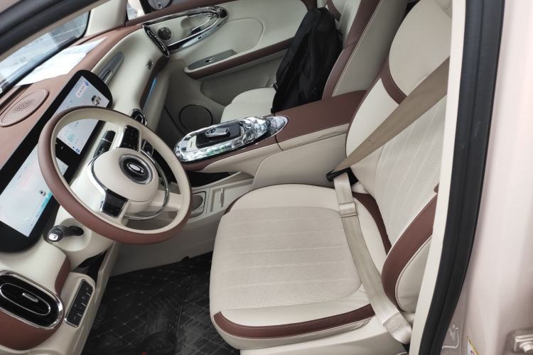 Used ORA Ballet Cat 2023 401 km Luxury Version Left Front Seat