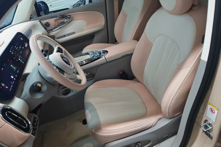 Used ORA Ballet Cat 2023 401 km Luxury Version Left Front Seat