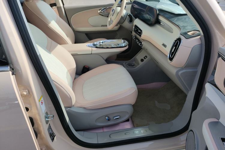 Used ORA Ballet Cat 2023 401 km Luxury Version Right Front Seat