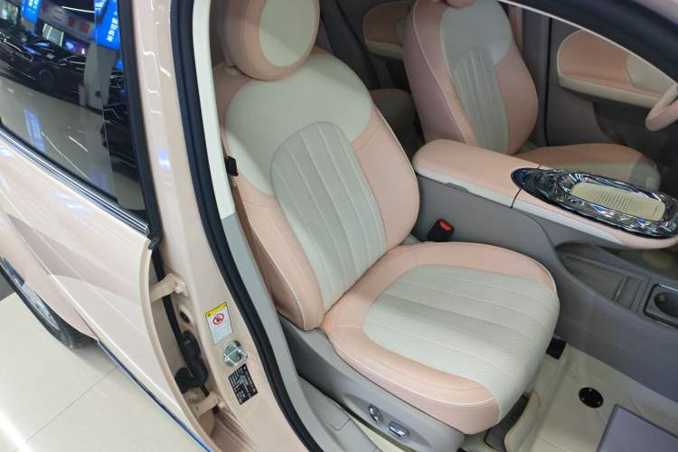 Used ORA Ballet Cat 2023 401 km Luxury Version Right Front Seat