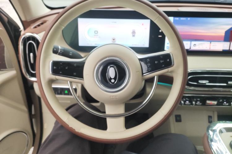 Used ORA Ballet Cat 2023 401 km Luxury Version Steering Wheel