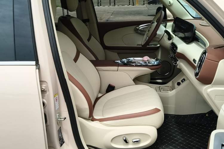 Used ORA Ballet Cat 2023 401 km Luxury Version Right Front Seat