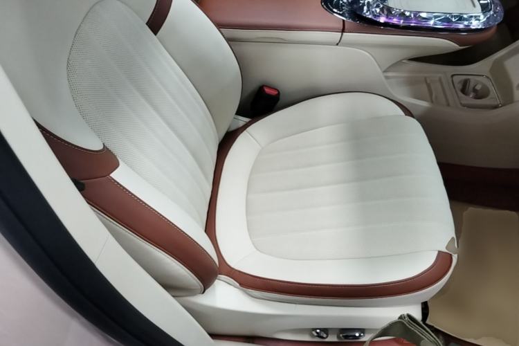 Used ORA Ballet Cat 2023 401 km Luxury Version Right Front Seat