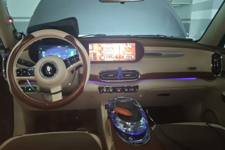 Used ORA Ballet Cat 2023 401 km Luxury Version Center Console