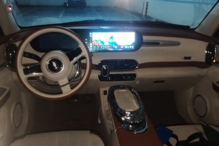 Used ORA Ballet Cat 2023 401 km Luxury Version Center Console